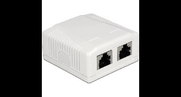 DeLOCK Network Wall Outlet 2 Port Cat.6A LSA montagedoos