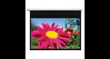 Optoma Opto DE-1123EGA 123'' Projectiescherm