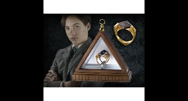 Noble Collection Harry Potter: The Horcrux Ring decoratie