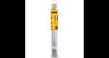 DEWALT SDS-max Beitel set DT9000-QZ