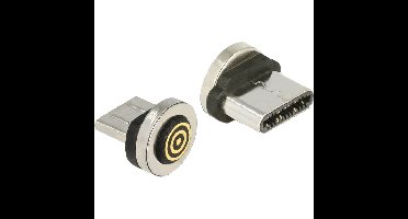 DeLOCK Magnetische adapter USB-C