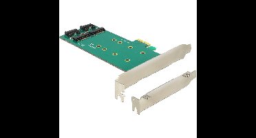 DeLOCK PCI Express Card > 2 x internal M.2 Key B 110 mm - Low Profile Form Factor adapter