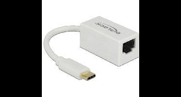 DeLOCK SuperSpeed USB-C (USB 3.1 Gen 1) male > Gigabit LAN 10/100/1000 Mbps compact adapter
