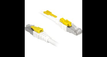 DeLOCK Patchkabel RJ-45 Secure met Cat.6a