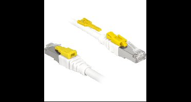 DeLOCK Patchkabel RJ-45 Secure met Cat.6a