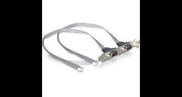 DeLOCK Slot bracket 2x Serieel controller