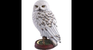 Noble Collection Harry Potter - Hedwig 9.5 inch Resin Sculpture decoratie