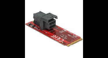 DeLOCK Adapter M.2 Key M > SFF-8643 NVMe serial-ata controller