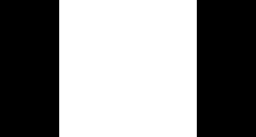 bruder Case IH Optum 300CVX met voorlader modelvoertuig