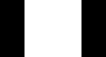 bruder MAN TGS LKW Straatreiniger modelvoertuig