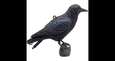 Ubbink Kraai waterornament