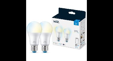 WiZ Lamp A60 E27 x2 ledlamp