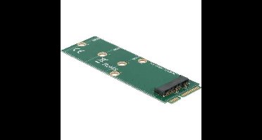 DeLOCK mSATA naar M.2 Key B Slot adapter
