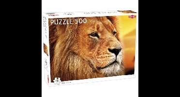 Tactic Puzzel Animals: African Lion