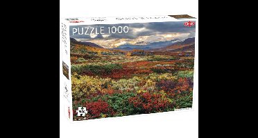 Tactic Puzzel Around the World, Northern Stars: Indian Summer in Norrbotten