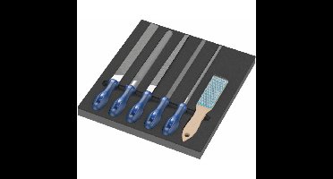 Wera 9783 Schuimrubberen inzetstuk met PFERD vijlen Set 1, 6-delig