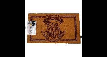 SD Toys Harry Potter: Welcome to Hogwarts 60 x 40 cm Doormat deurmat