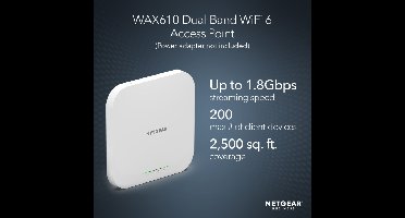 Netgear WAX610 access point
