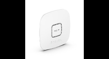 Netgear WAX625-100EUS access point