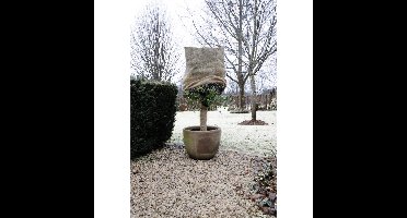 Nature Jute winterafdekhoes, 230 g/m² afdekking