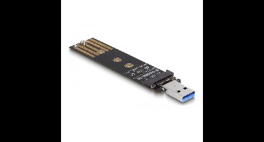 DeLOCK Combo Converter voor M.2 NVMe PCIe of SATA SSD met USB 3.2 Gen 2