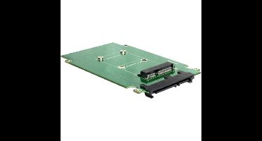 DeLOCK Converter SATA 22Pin -> mSATA 2,5" inbouwframe