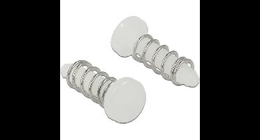 DeLOCK Kliknieten voor koellichaam bevestiging