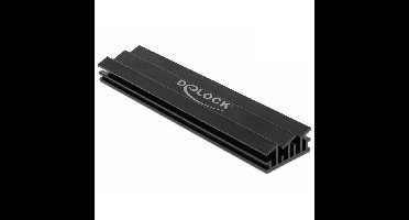 DeLOCK Heatsink 100 mm voor M.2 module