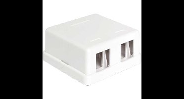 DeLOCK Keystone Surface Mounted Box 2 Port behuizing