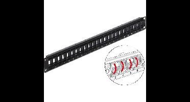 DeLOCK 19" Keystone patchpaneel 24 Port