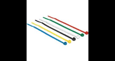 DeLOCK Kabelbinder 100x2,5mm