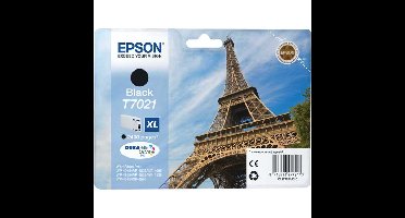 Epson Inkt - T7021