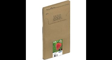 Epson 29XL - Multipack inkt