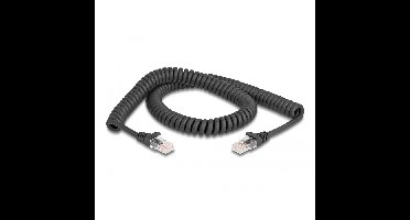 DeLOCK RJ-45 Spiraalkabel male to male Cat.5e