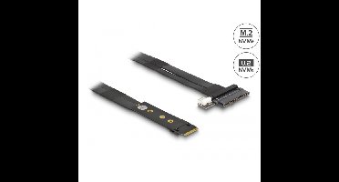 DeLOCK M.2 Key M to U.2 SFF-8639 NVMe Adapter controller