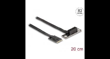 DeLOCK M.2 Key A+E to PCIe x1 NVMe Adapter angled with 20 cm cable controller