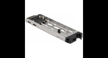 DeLOCK Mobile Rack Inner Tray 1 x M.2 NMVe SSD for Mobile Rack 47003 wisselframe
