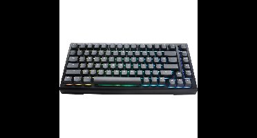 Ducky ProjectD Tinker 75 met QMK/VIA toetsenbord