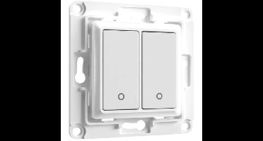 Shelly Wall Switch 2 knop