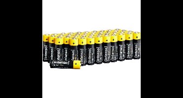 Intenso Energy Ultra AA LR06 batterij
