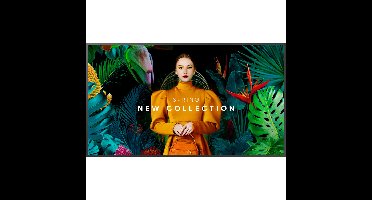 Samsung QB65C Standalone Signage public display