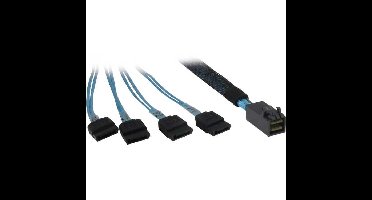 Inter-Tech Kabel SFF 8643 > 4x SATA