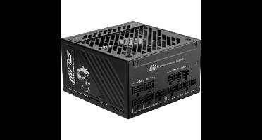 MSI MPG A850GS PCIE5 voeding