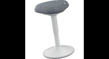 Leitz Ergo Wiebel Zitkruk met Gasveer (47 - 64 cm) stoel