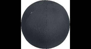 Leitz Ergo Actieve Zitbal, anti-rol design, 65cm werkstoel