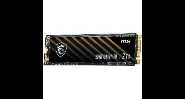 MSI SPATIUM M470 PRO 2 TB SSD