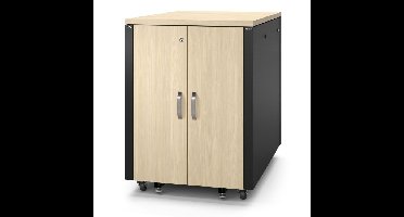 APC NetShelter AR4017IA, 17U server rack