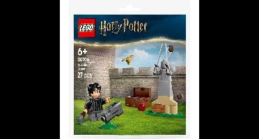LEGO Harry Potter - Zwerkbal les Constructiespeelgoed