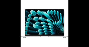 Apple MacBook Air 2025 13" (MW0X3N/A) laptop