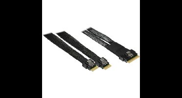 Inter-Tech Kabel SFF 8654-8i > 2x SFF 8654-4i